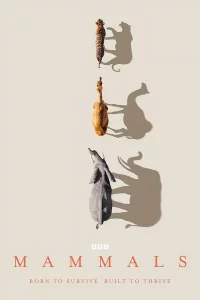 Млекопитающие 1 сезон